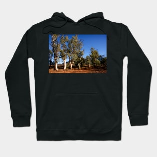 Gum trees in Outback Australia Hoodie